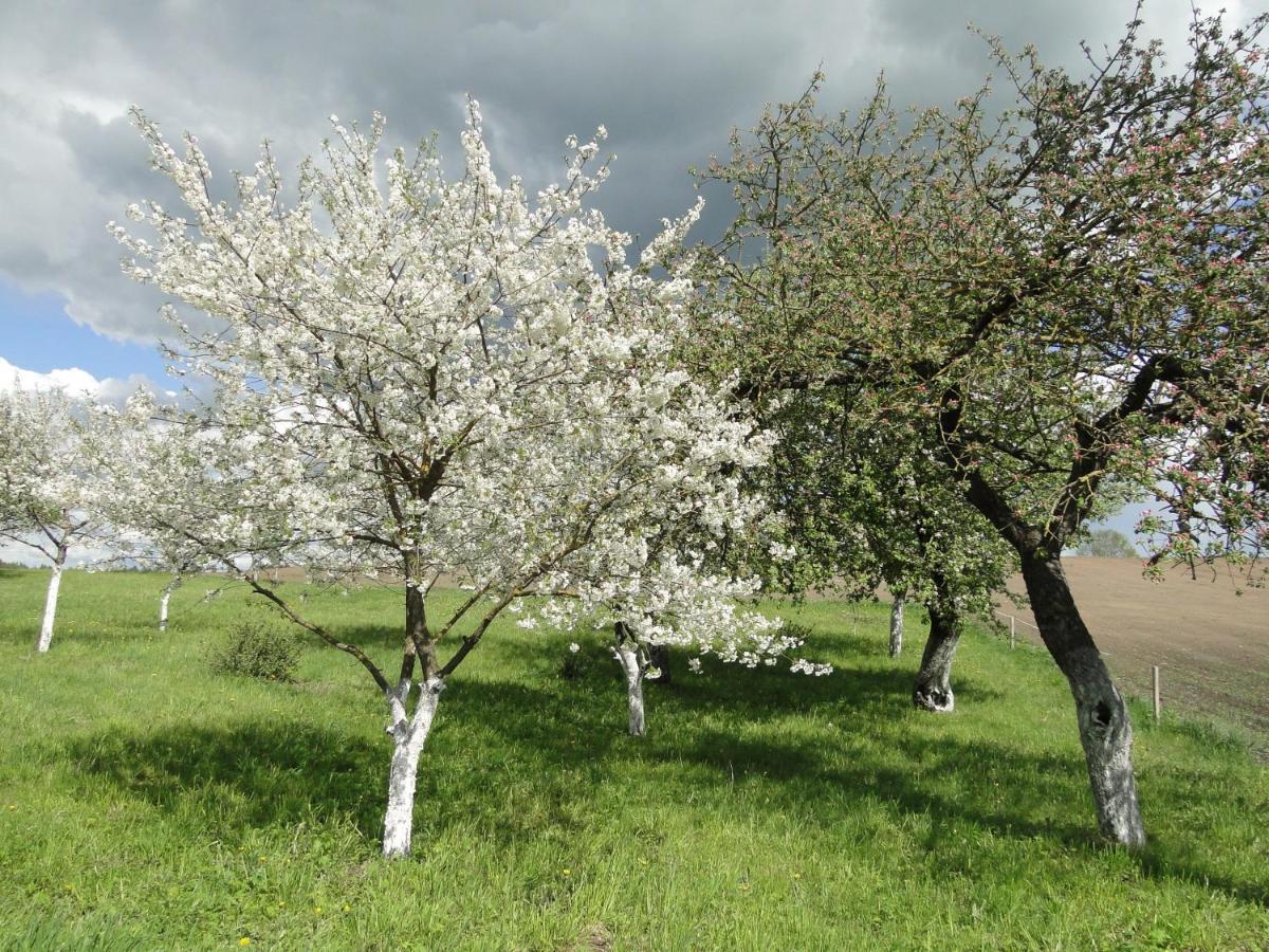 Agroturystyka Zywe 크루클란키 외부 사진